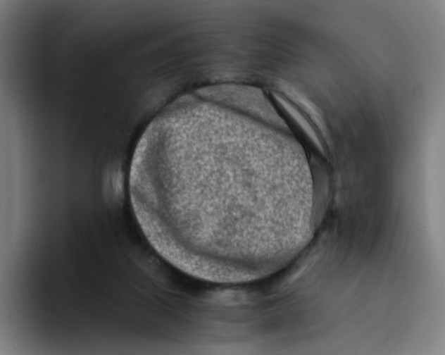 X0000094200067200711161816