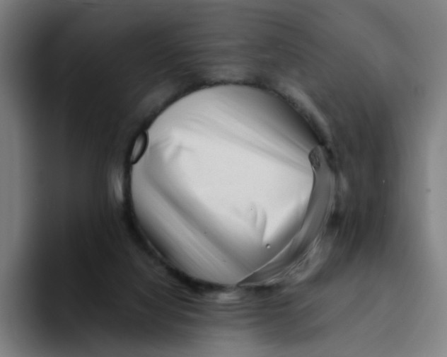 X0000094200068200711161816