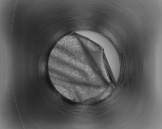 X0000094200071200711161816