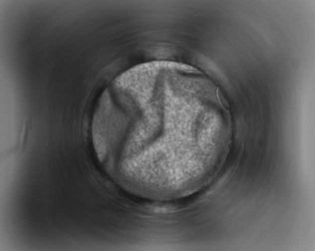 X0000094200073200711161816