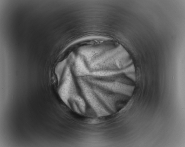 X0000094200074200711161816