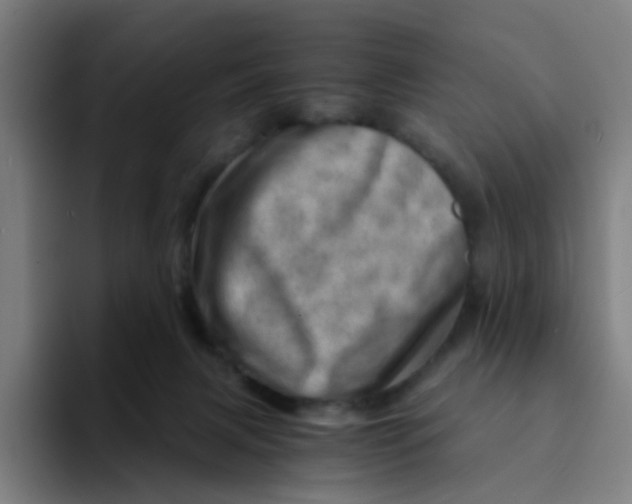 X0000094200079200711161817