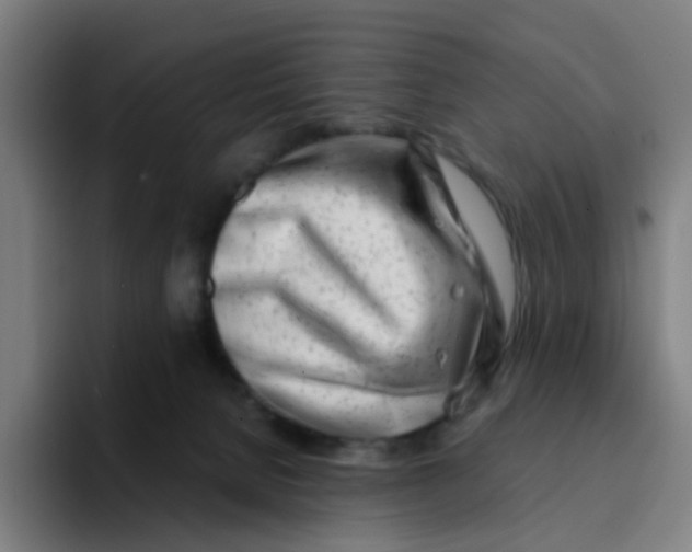 X0000094200080200711161817