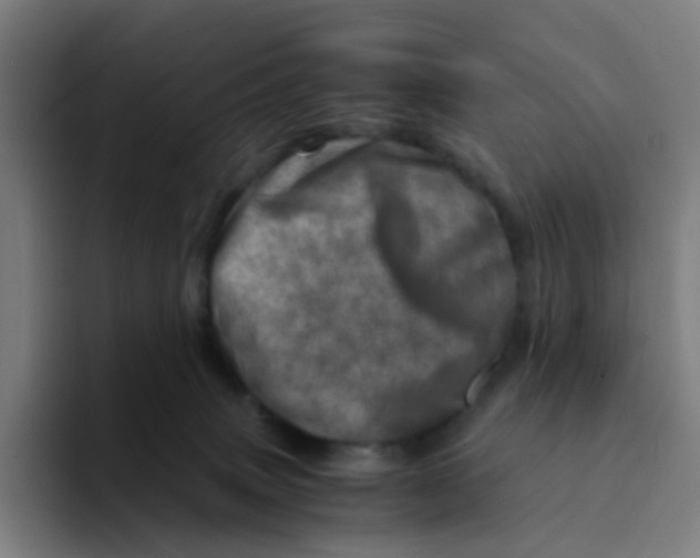 X0000094200083200711161817