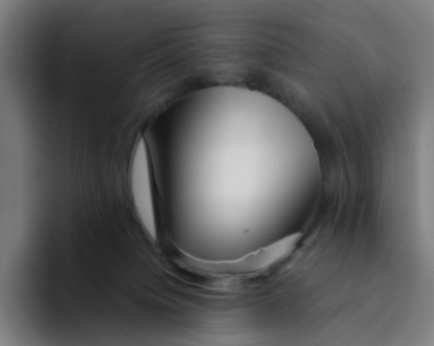 X0000094200084200711161817