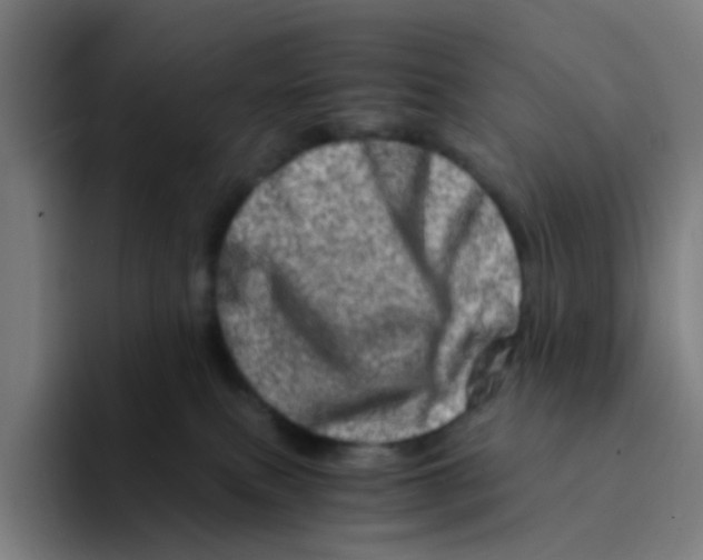 X0000094200087200711161817