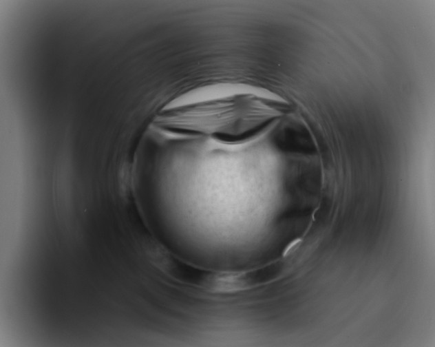 X0000094200093200711161817