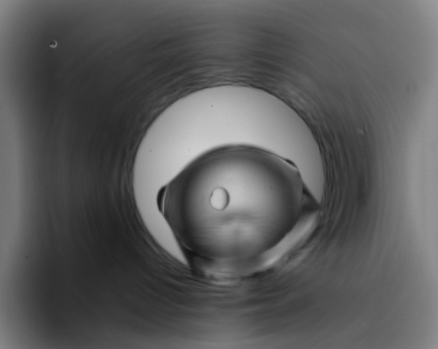 X0000094200096200711161817