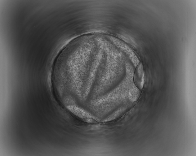 X0000094200098200711161816