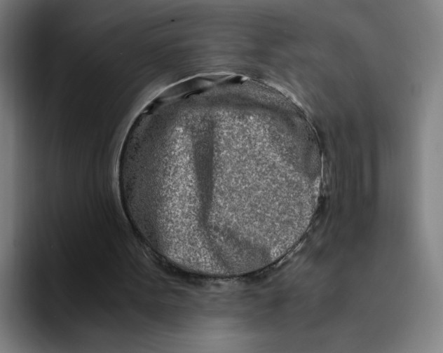 X0000094200099200711161816