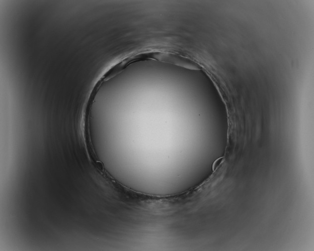 X0000094200100200711161816