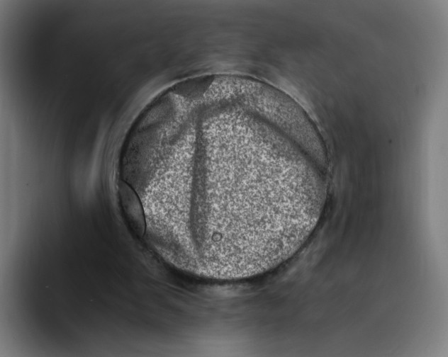 X0000094200103200711161816