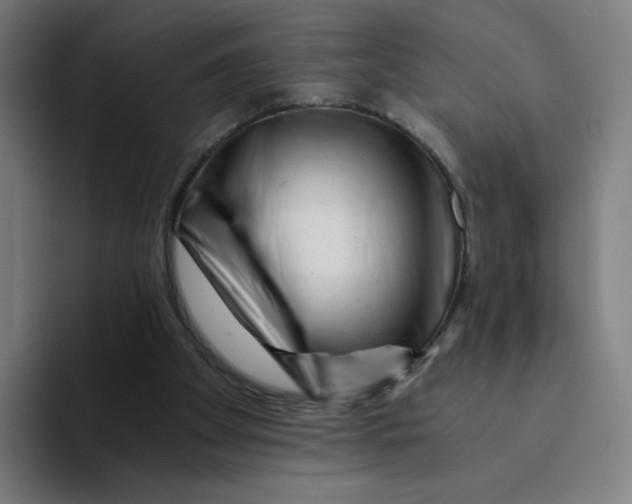 X0000094200105200711161816