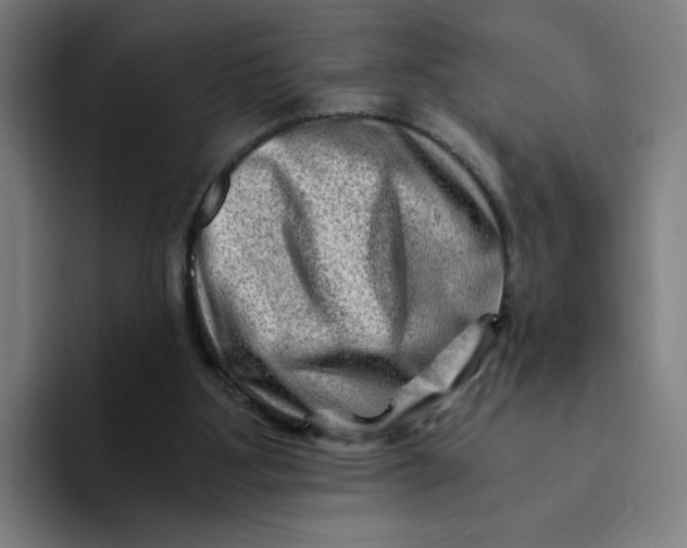 X0000094200107200711161816