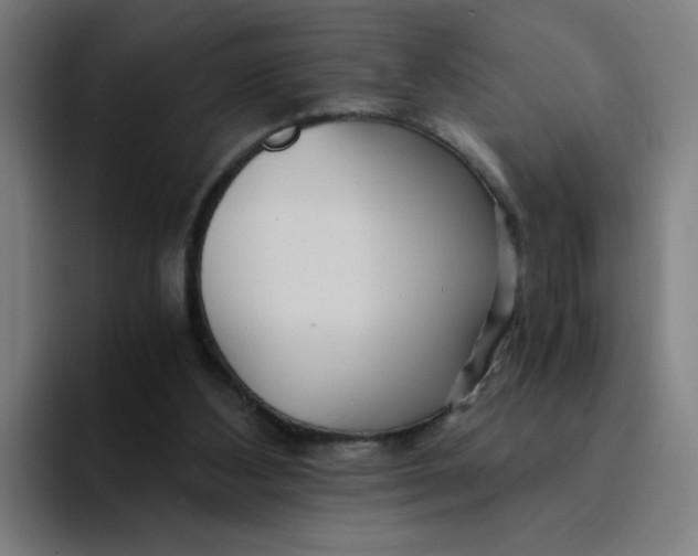 X0000094200108200711161816