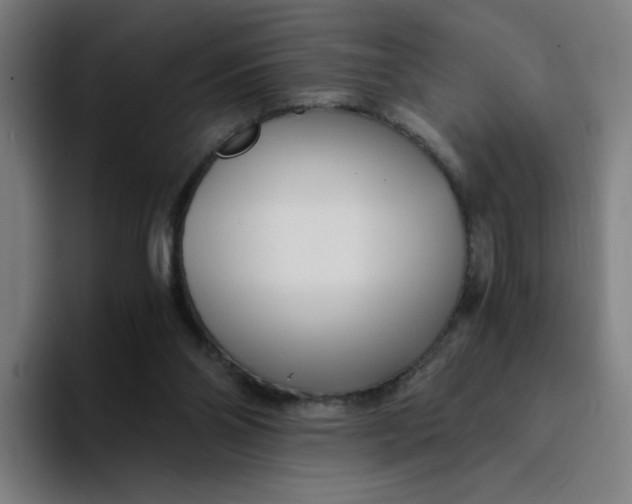 X0000094200110200711161816