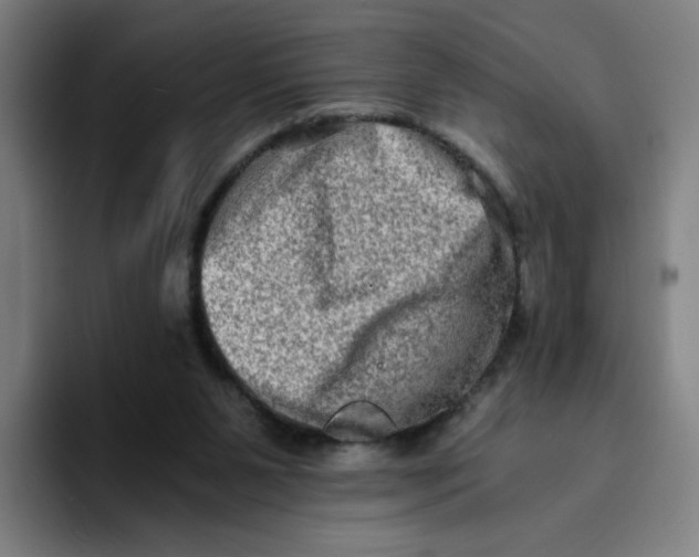 X0000094200111200711161816