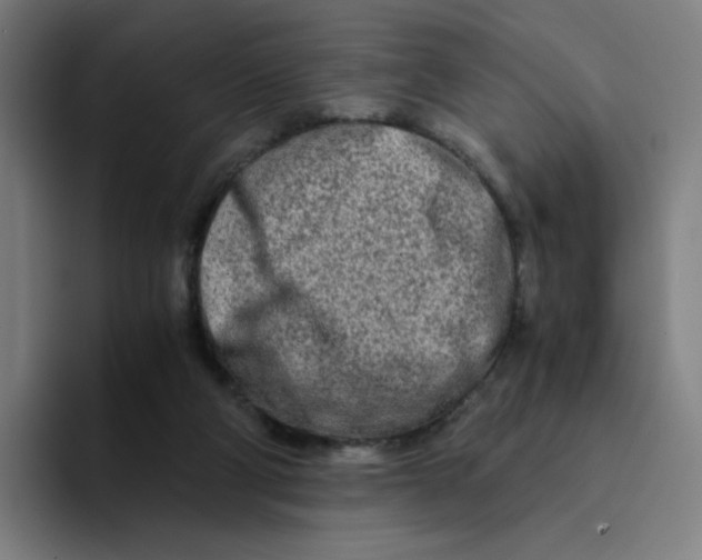 X0000094200114200711161816