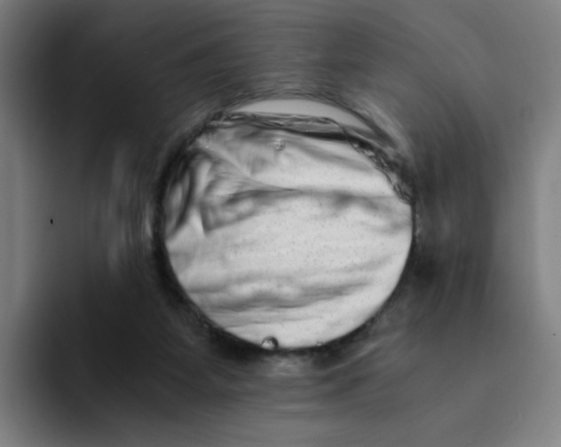 X0000094200115200711161816