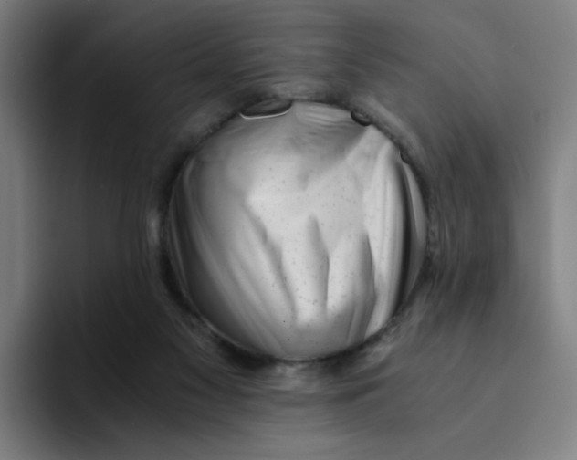 X0000094200117200711161816