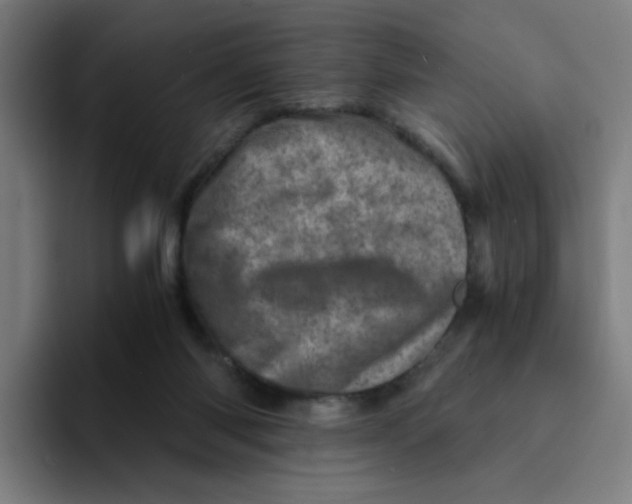 X0000094200118200711161816