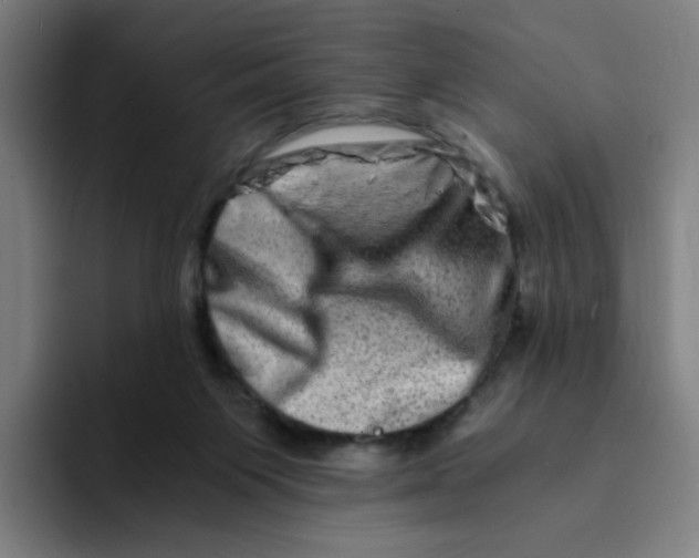 X0000094200119200711161816