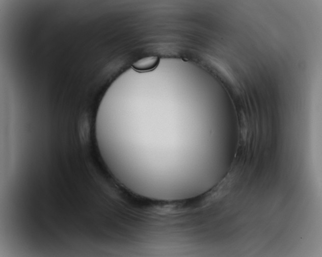 X0000094200120200711161816