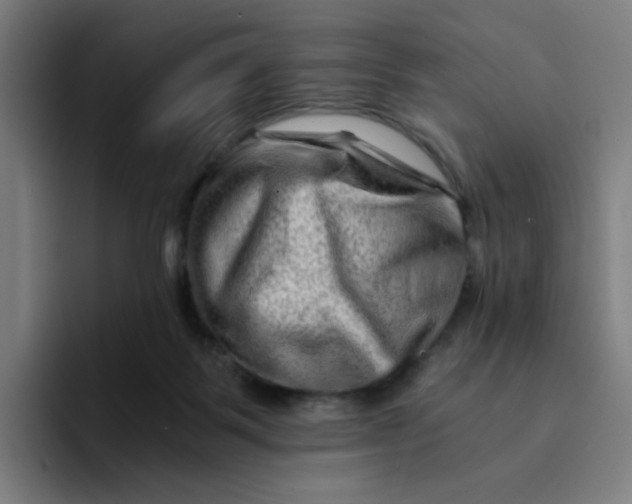 X0000094200123200711161816