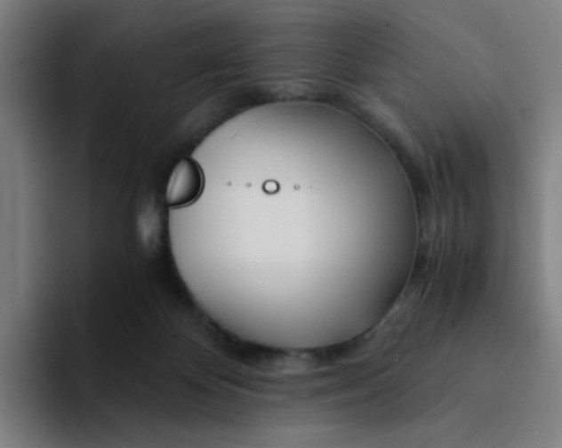 X0000094200124200711161816