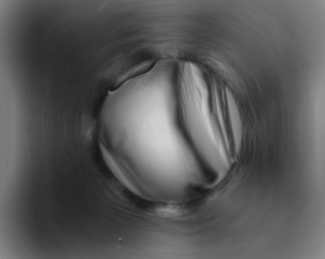 X0000094200125200711161816