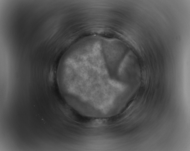 X0000094200126200711161816