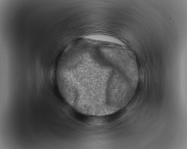 X0000094200127200711161816