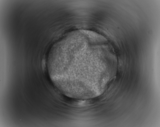 X0000094200130200711161816