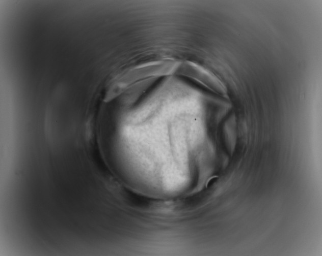 X0000094200131200711161816