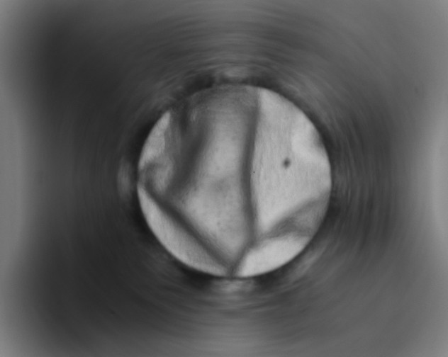 X0000094200135200711161816