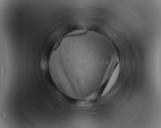 X0000094200137200711161816