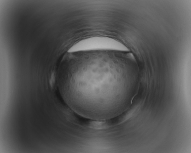 X0000094200139200711161816