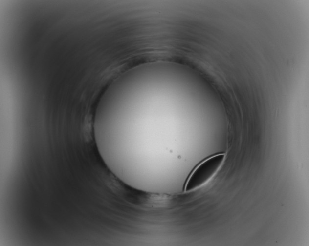 X0000094200144200711161816