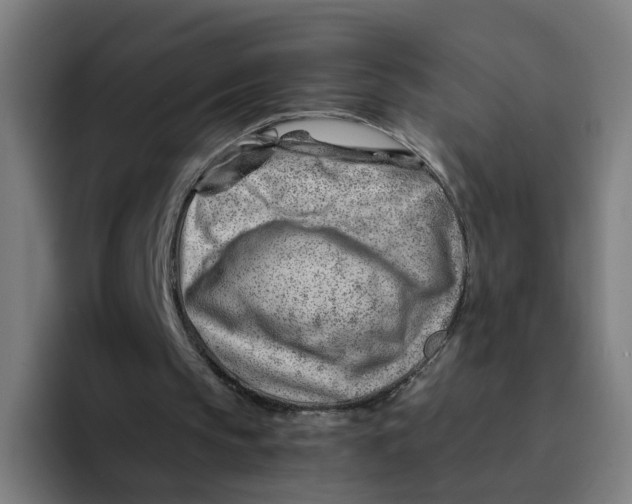 X0000094200145200711161815