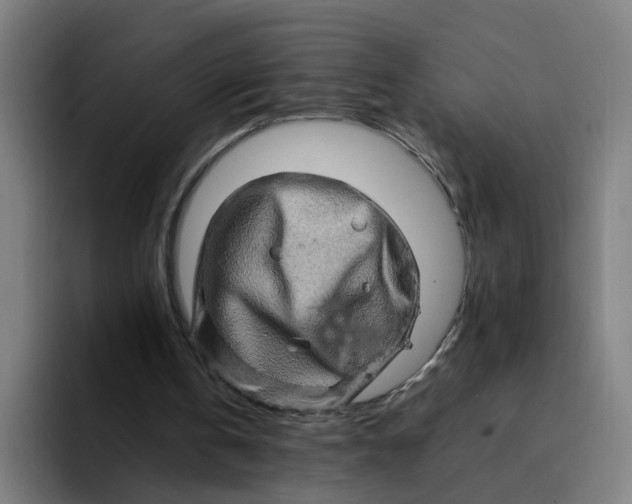 X0000094200146200711161815