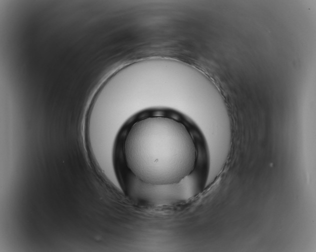 X0000094200148200711161815