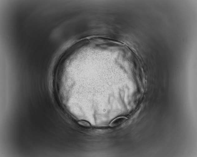 X0000094200149200711161815