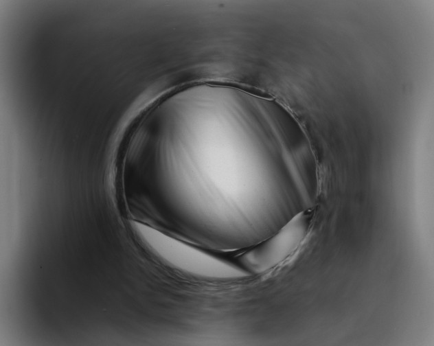 X0000094200150200711161815