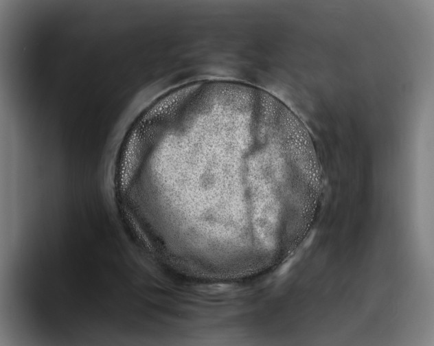 X0000094200151200711161815