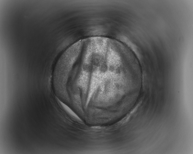 X0000094200153200711161815