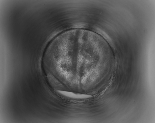 X0000094200155200711161815