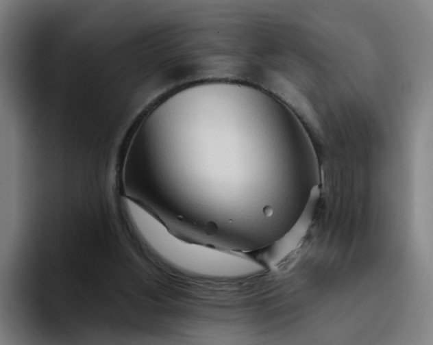 X0000094200156200711161815