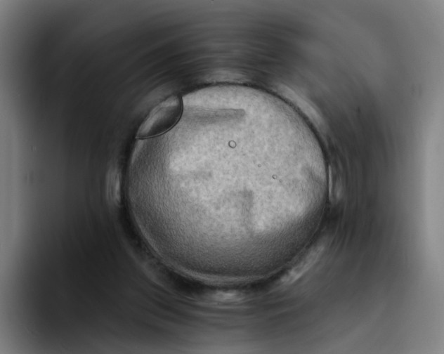 X0000094200157200711161815