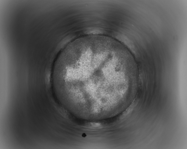 X0000094200159200711161815