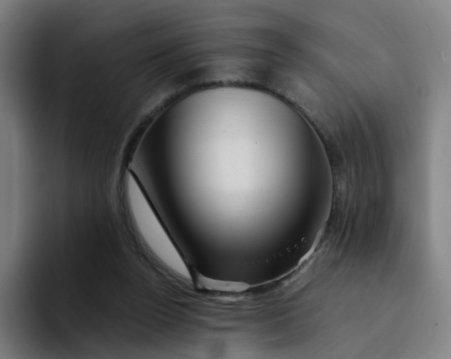 X0000094200160200711161815